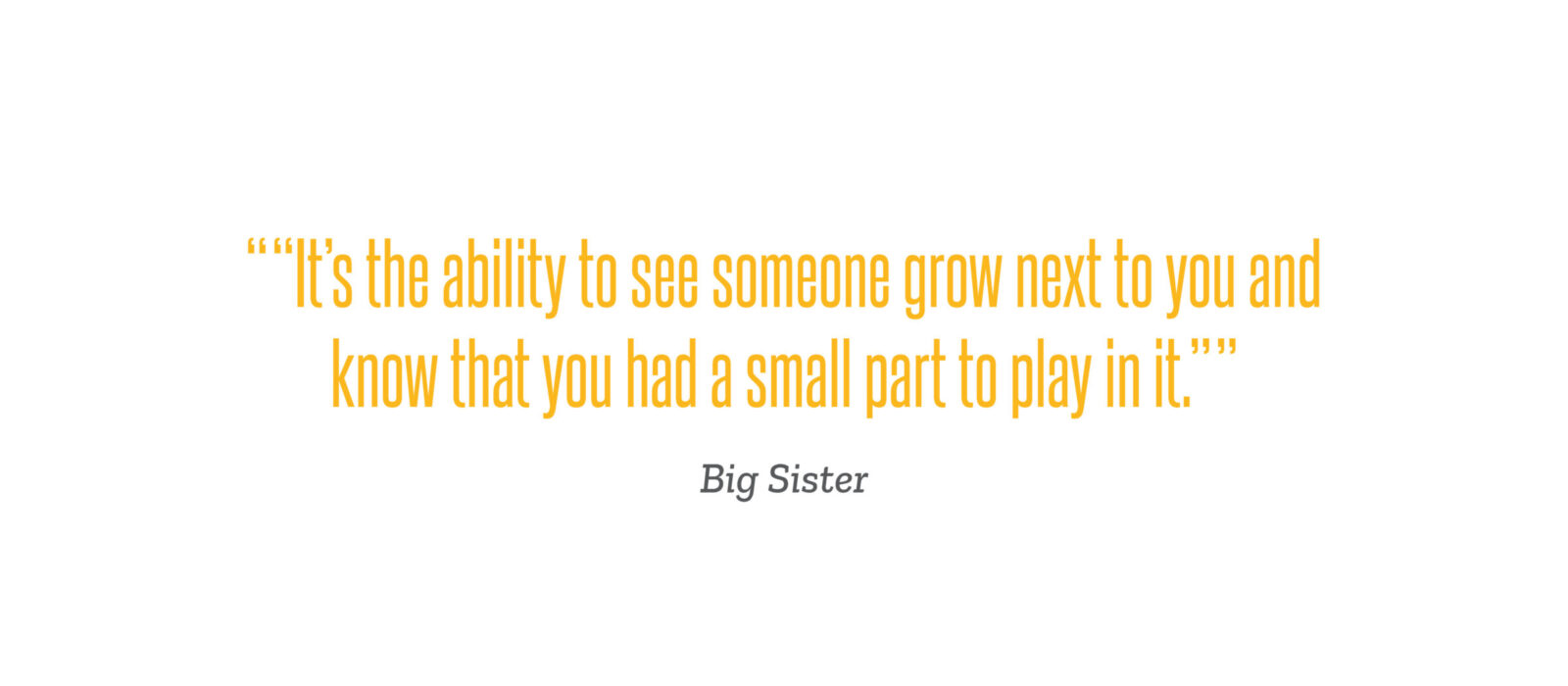 BigSisters-testimonials4